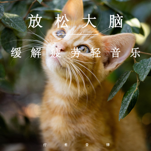 美女内裤被扒被塞住漏水喷浆潮
